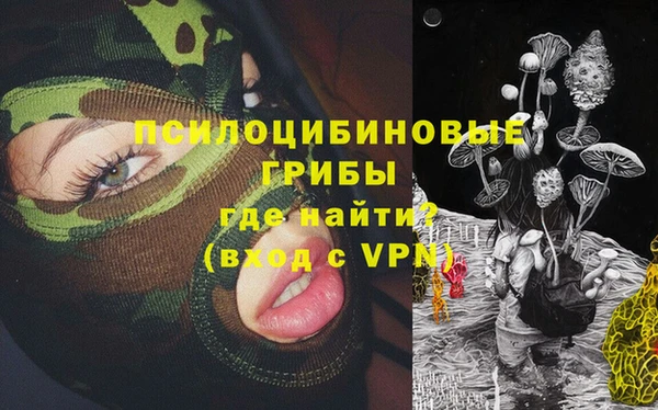 хмурый Россошь